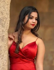 call girl service in Shendurjana